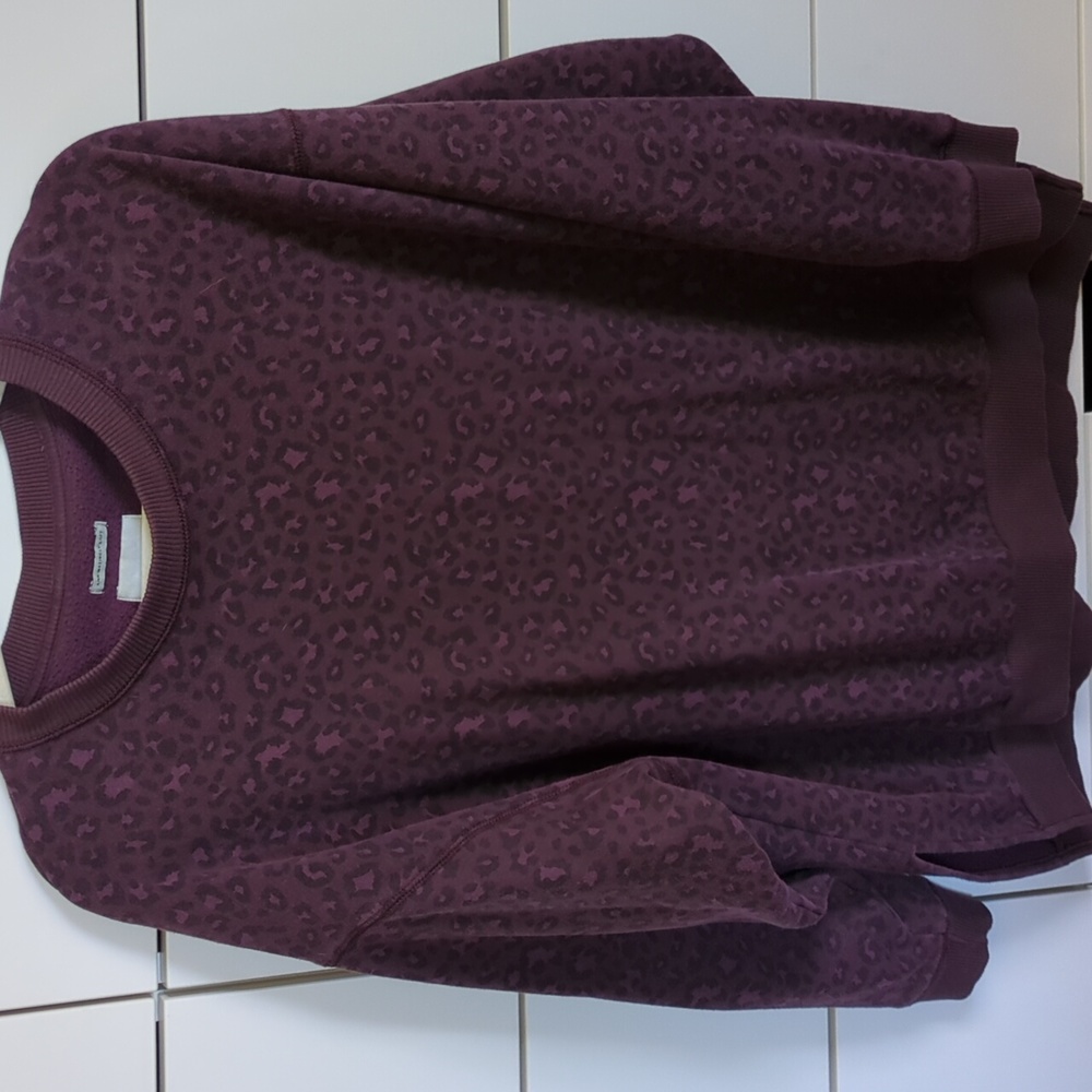 American Eagle Oversized Hoodie